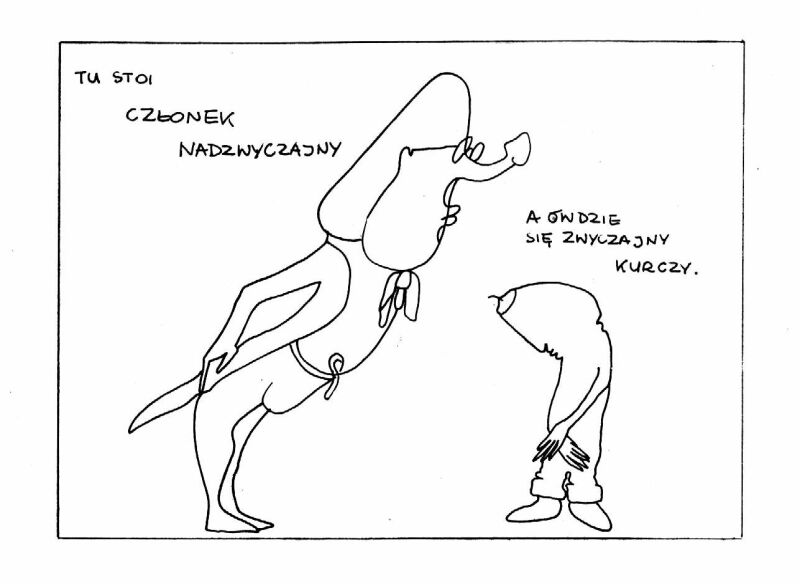 Ilustracja 7