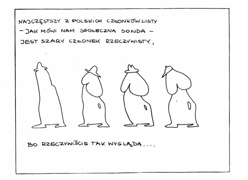 Ilustracja 8