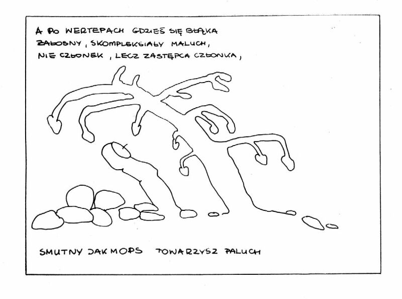 Ilustracja 11